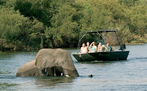 Chobe National Park Tour 